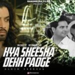 Kya Sheesha Dekh Paoge Lyrics – नकाश अज़ीज़ | शरद मल्होत्रा