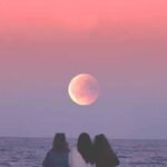 Love Shayari: प्रेम में डूबी 10 बेहद खूबसूरत शायरियाँ – दिल को छू जाएँगी