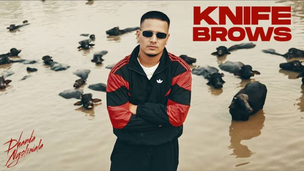 Knife Brows Lyrics: ढांडा न्योलीवाला