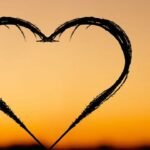 Love Shayari: 10 दिल को छू लेने वाली प्रेम शायरी जो गहरी भावनाओं को व्यक्त करती हैं और आपके प्रियतम का दिल पिघला देती हैं