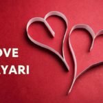 Love Shayari: प्यार की चाहत और जज़्बातों की अनकही दास्तां, पढ़िए ये दिल को छू लेने वाली शायरी