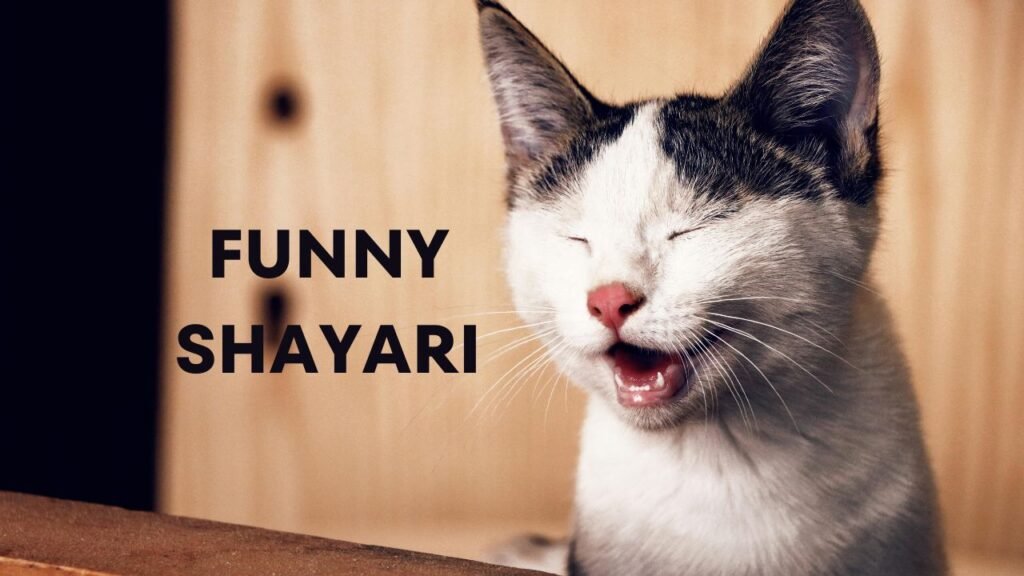 Funny Shayari: हंसी के फव्वारे बहाने वाली मज़ेदार शायरी, जो आपके मूड को तुरंत बना देगी