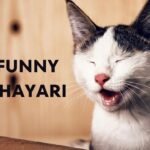 Funny Shayari: हंसी के फव्वारे बहाने वाली मज़ेदार शायरी, जो आपके मूड को तुरंत बना देगी